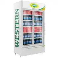 Western SRC 1000SD Double Door Visi Cooler for Restaurant/Dairy Centres/Pharmacy,etc