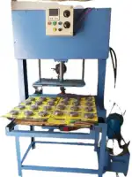 Scrubber/Blister Packing Hydraulic Automatic Machine